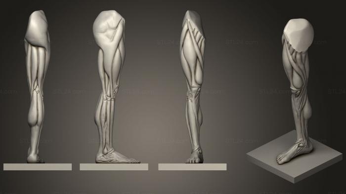 Корч для ног Ecorche